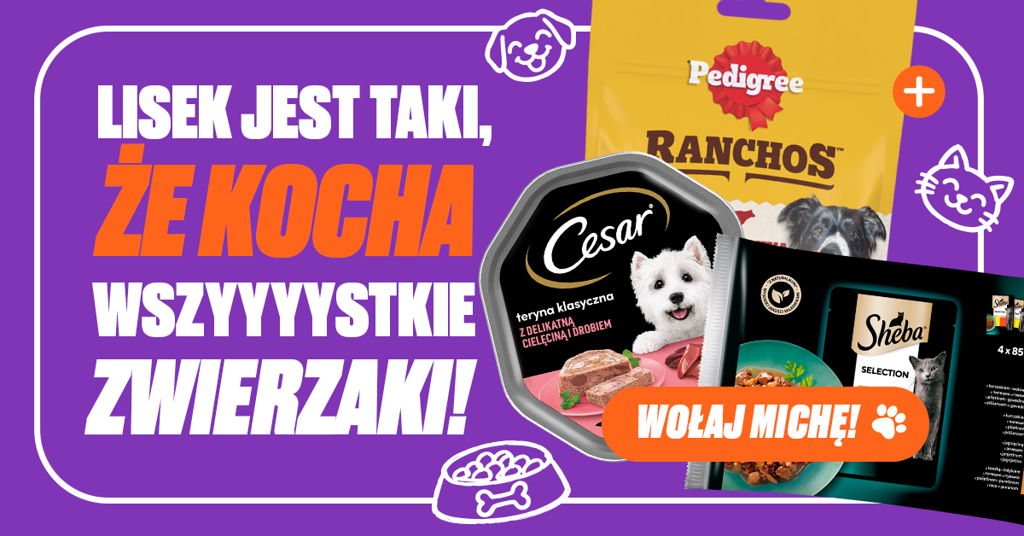 banner_dzienzwierzat
