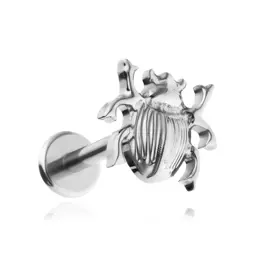 Tytanowy kolczyk labret żuk srebrny  piercing helix lobe conch 1,2/6