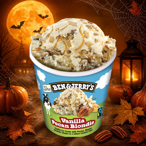 B&J Vanilla Pecan Blondie 465ml
