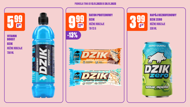 banner_cross_dzik_131125