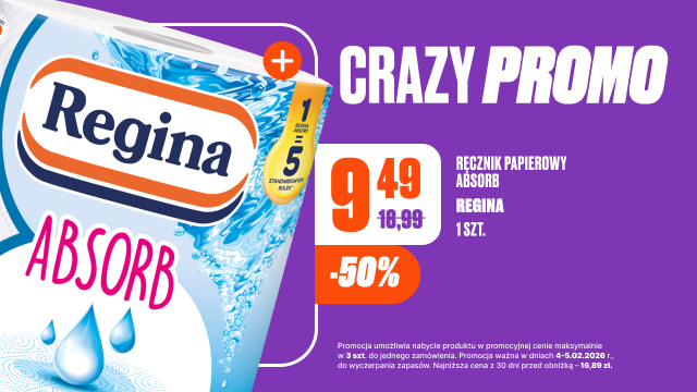 baner_regina_absorb_040226