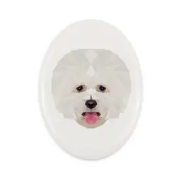 Bichon Frise, Tenerife Dog -płytka ze zdjęciem i napisem geometryczna marki Art-Dog